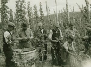 Buriton Village Association