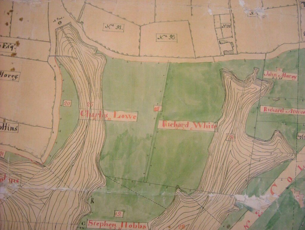Saunerton Tithe Map A Southsea Street Through Time - Hampshire Archive Trust